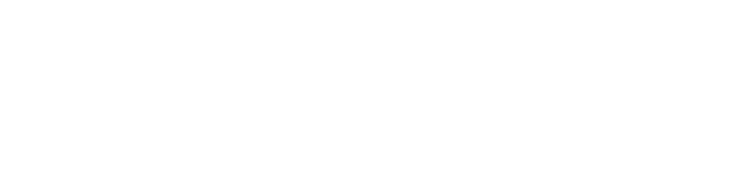 embarquesoft sddws 19