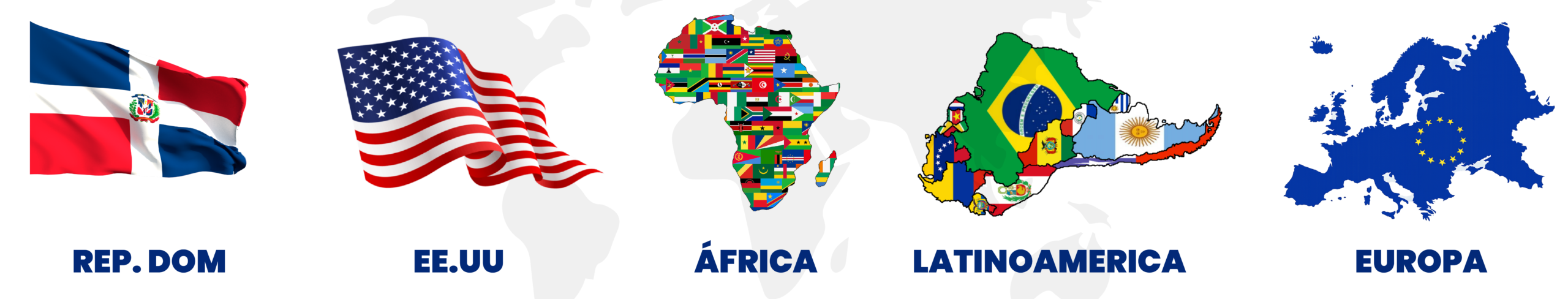 ddsdff mesa de trabajo 1 copia 7.webp